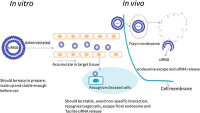 Rationale and Application of PEGylated Lipid-Based System for Advanced Target Delivery of siRNA